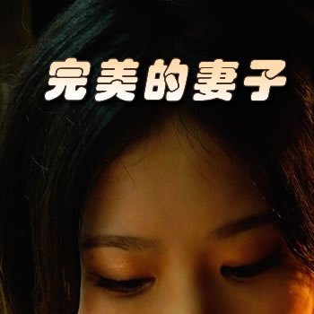 完美的妻子